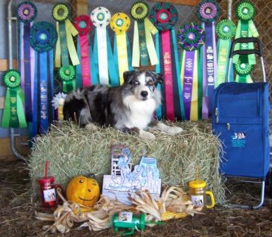 Misko with his National ribbons